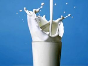 Game Changer for Dairy Farmers Himachal Becomes First to Guarantee Milk MSP