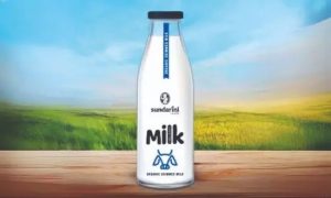 India's Organic Dairy Revolution Sundarini's Model Wins Global Acclaim