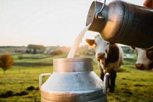 JKDFA conducts outreach session for budding dairy farmers