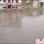 Ludhiana Dairy Waste Poses Pollution Crisis