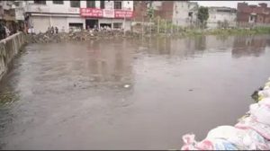 Ludhiana Dairy Waste Poses Pollution Crisis