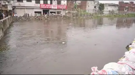 Ludhiana Dairy Waste Poses Pollution Crisis