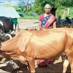 Milk of mom’s hard work Girl hits new heights