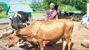 Milk of mom’s hard work Girl hits new heights