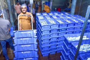 Milma Grants 74 Crore to Boost Malabar Dairy Sector