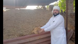 Punjab farmers worried as wheat straw prices dip amid lack of demand