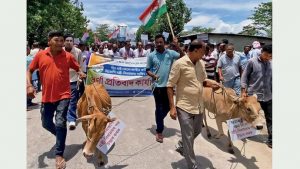 Assam's Dairy Dream Turns Nightmare 17 Crore Scandal