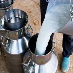 Bihar Boosts Dairy 316 Cr for 5 New Plants