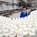 China's Dairy Sector One Year to Rebound After Hitting Rock Bottom