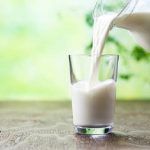 Dairy Marvel Mandya Cow Milks Without Calving
