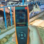 Dairy's Digital Leap Vet Varsity Sparks Sensor Revolution