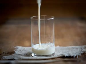 India's Dairy Revolution MP Offers 33% Subsidy for Farmers