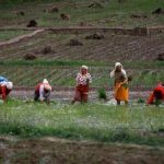 India's Food Security at Risk Tariffs on US Farm Goods Spark Debate