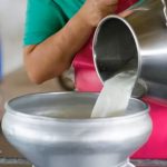 Milking the Future India Unites 2M Dairy Farmers
