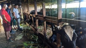 Mizoram's Big Plea Boost Dairy, Livestock & Fisheries for Growth