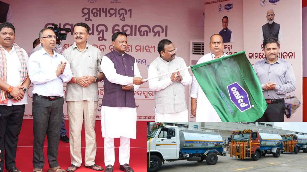 Odisha's Dairy Revolution 1.5 Million Farmers to Be Empowered