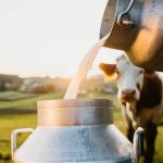 Sikkim Milk Prices Surge What It Means for Consumers