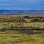 Ancient Mongolian Dairy Finds a Modern, Global Twist