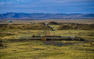 Ancient Mongolian Dairy Finds a Modern, Global Twist