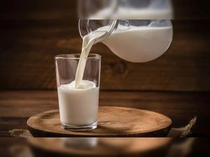 Gujarat's Milk Procurement Hits Historic Highs