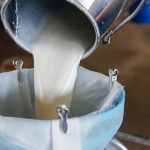 India’s Dairy Exports Surge 80%, Driving Global Growth