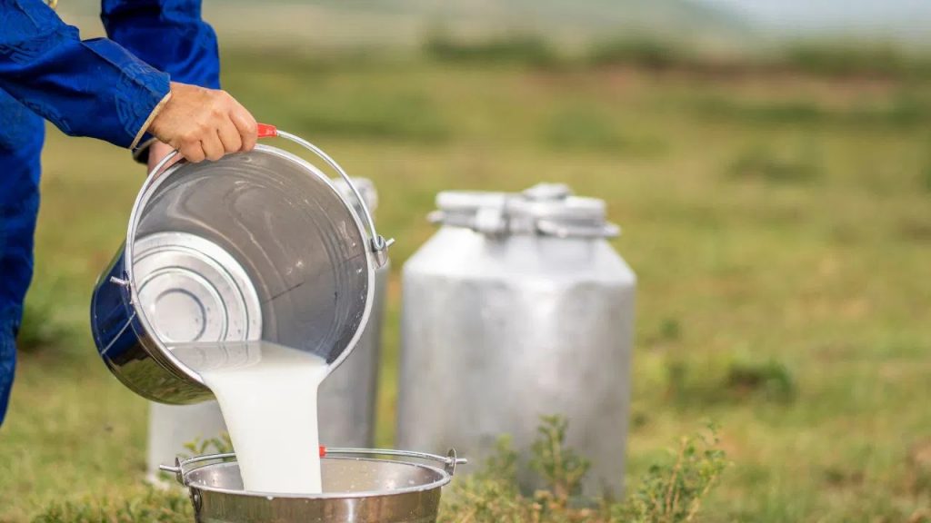 India's Milk Production Soars to 239M Tonnes