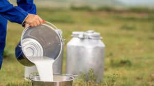 India's Milk Production Soars to 239M Tonnes