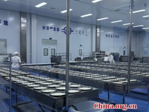 Inner Mongolia's Cheese Park A $14M Tourism Boost