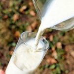 Milk Supply in India A Stable Outlook