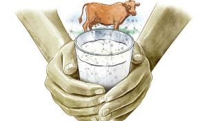 Milma Shakes Up the Market with Bottled Milk