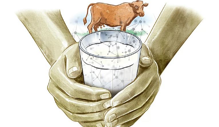 Milma Shakes Up the Market with Bottled Milk