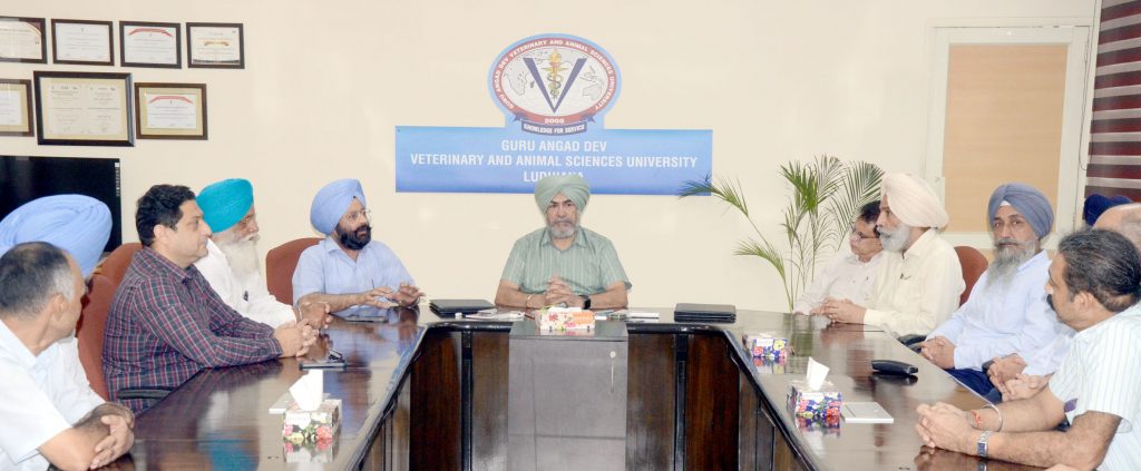 Punjab's Milk Revolution A Genetic Leap