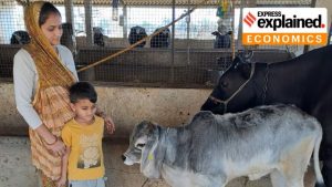 The Indian Dairy Model Success & Challenges
