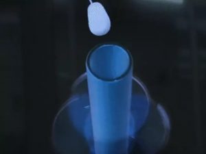 AI and Subsidies How Tech is Transforming India's Dairy