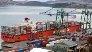 China-New Zealand Trade Boosted by Dairy, New Sectors