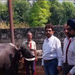 Dairy Development Mission Sparks a New Agribusiness Vision