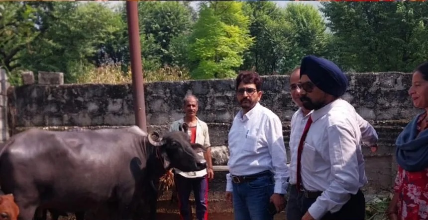 Dairy Development Mission Sparks a New Agribusiness Vision