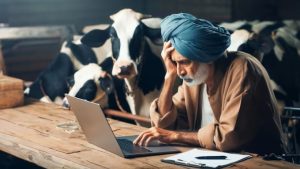 Dairy Farmer's Bank Fraud Scandal Rocks Indian Agribusiness