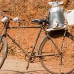 India dairy sector - milk production