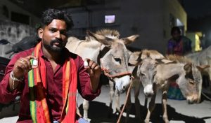 Donkey Milk Sales Surge in Hyderabad at ₹100 15ml