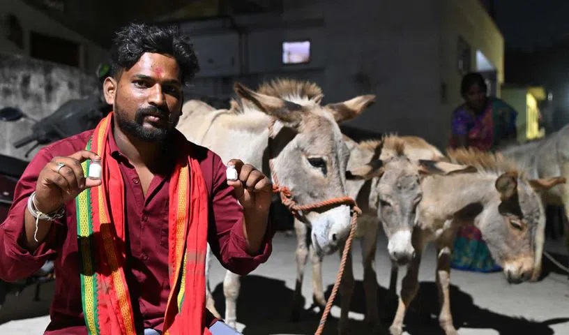 Donkey Milk Sales Surge in Hyderabad at ₹100 15ml