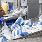 India's Dairy Boom A Record-Breaking Festival