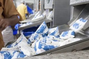 India's Dairy Boom A Record-Breaking Festival