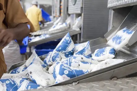 India's Dairy Boom A Record-Breaking Festival