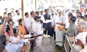 India's Dairy Revolution A New Breeding Strategy