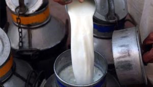 Price Shock Karachi Dairy Producers Demand Rs50 L Hike