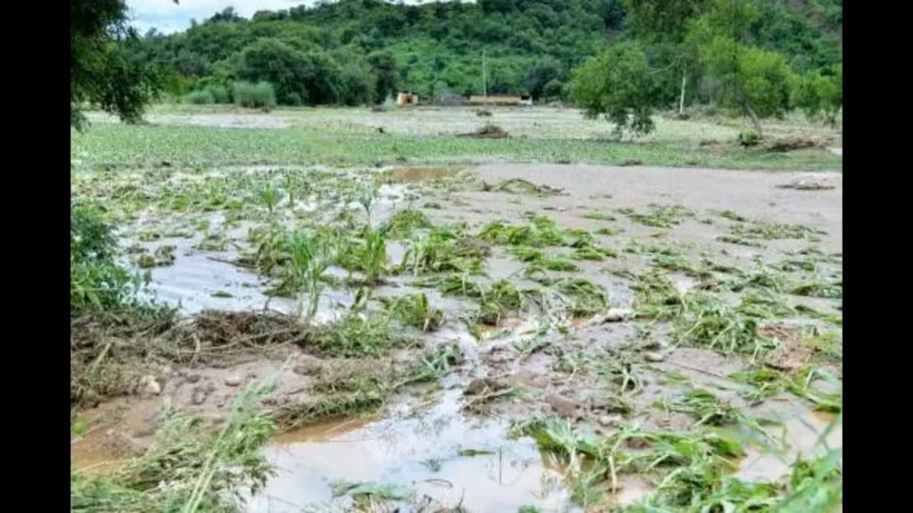 Punjab's Agribusiness Seeks $12B Flood Relief