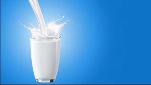 Quality Dairy in the Spotlight A Cooperative Model for Success