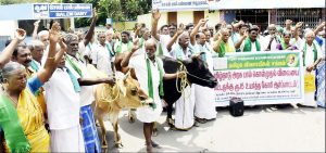 Tamil Nadu Dairy Farmers Demand ₹50 L Milk Prices