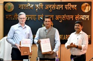 The Seed of Success A New Era for Indian Dairy